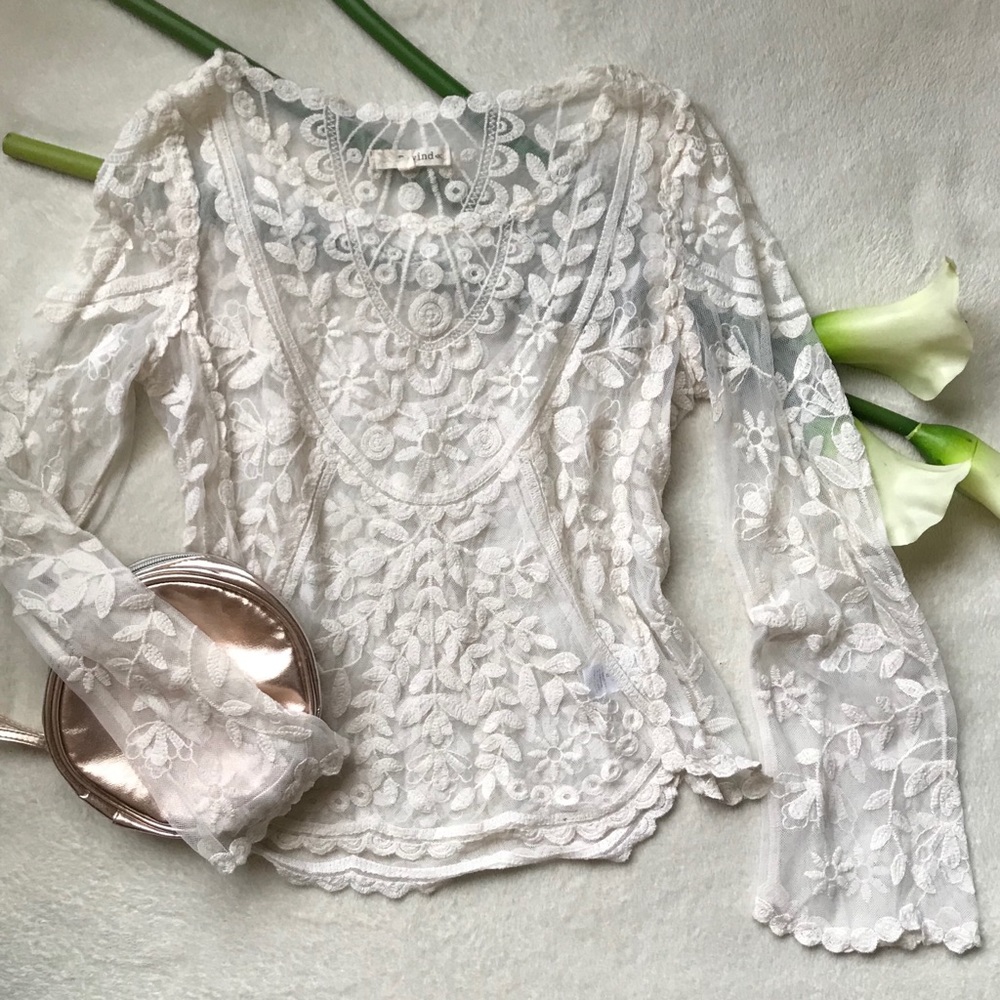 Knockout sheer lace embroidered top